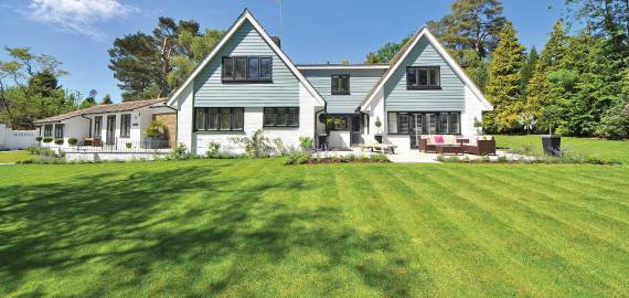 Services-Lawn-Fertilization